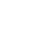 LOGO NIXON BLANC